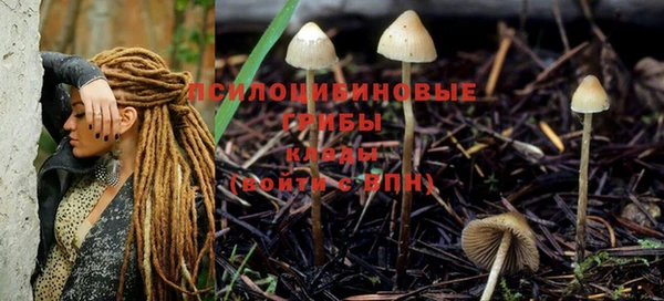 меф Алексин